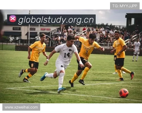 ✅体育直播🏆世界杯直播🏀NBA直播⚽- 广西柳州轨道集团：将对违建轻轨墩柱进行拆除- sports